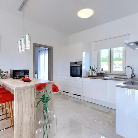 Mia Anima By Interhome Vila Vodnjan